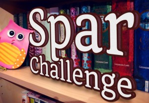 SparChallenge14_big